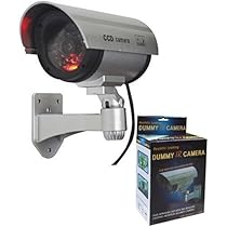 Lažna Sigurnosna Kamera S Trepćućim Svjetlom